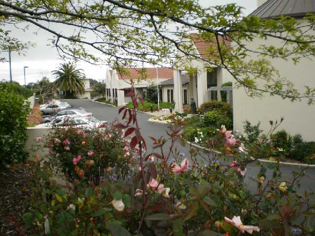 Primary photo of Little Sisters of the Poor