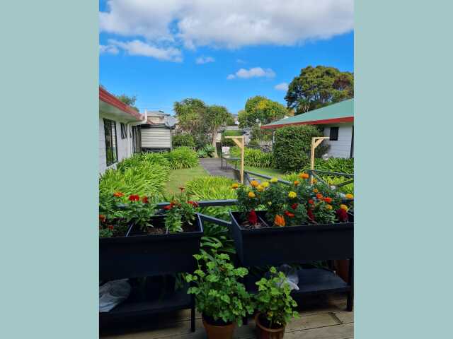 Primary photo of The Waratah Retirement Home & Hospital