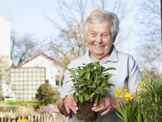 Primary photo of Millvale House Waikanae - Dementia Care NZ