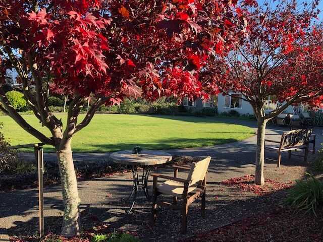 Primary photo of Jack Inglis Aged Care Home