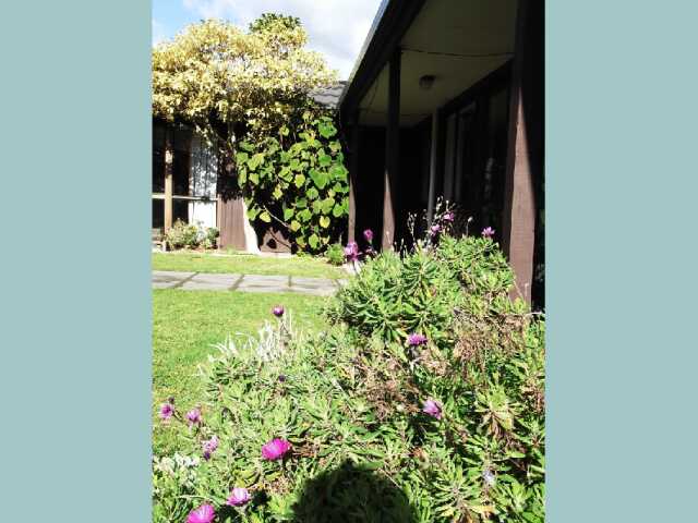 Primary photo of Millvale House Miramar - Dementia Care NZ